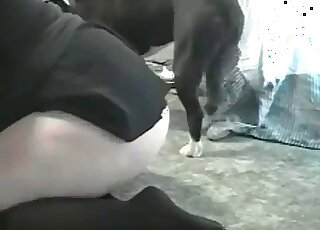 Badass canine fucking movie to make you cum