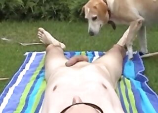 Charming canine licks my twitching cock on cam