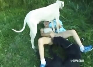 Oozing pussy featured in a hardcore porn movie - 豚アニマルセックス 