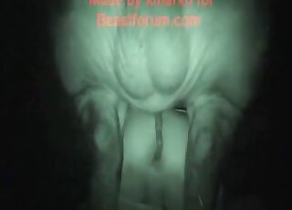 Nighttime fuck scene with a horny pig fucker