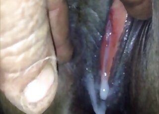 Close-up zoophilic scene to make mare orgasm - 豚アニマルセックス