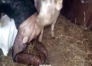 Pig sets its sights on this lady's prefect pussy - 豚アニマルセックス 