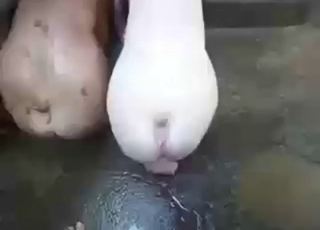 Scene with a pig-fucking hoe