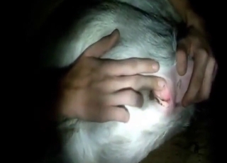 Close-up action with fingering, gaping, more