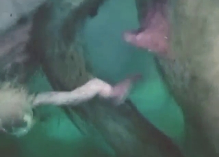 Intense passion with hot pig fucking in HD