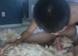 Dude has a hard cock, he's happy to fuck a dog