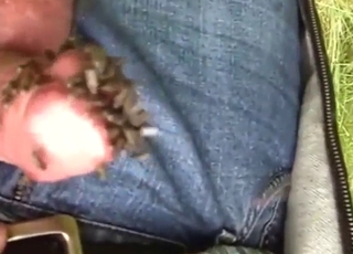 Guy has a nice cock and a there flies ALL over
