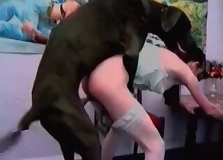 Doberman enjoying two zoophiles - sesso porco animale  