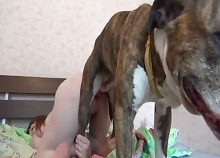 Brutal amateur zoo porn in the bed with a hot bitch - 豚アニマルセックス 
