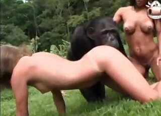 Monkey fucking a tanned bitch on cam - 猪兽交色情内容 