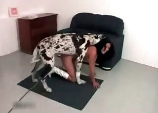 Zoophilic whore getting wrecked on camera