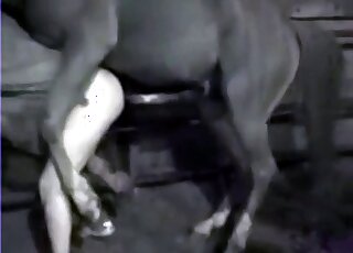 Thick booty dude getting violated on cam